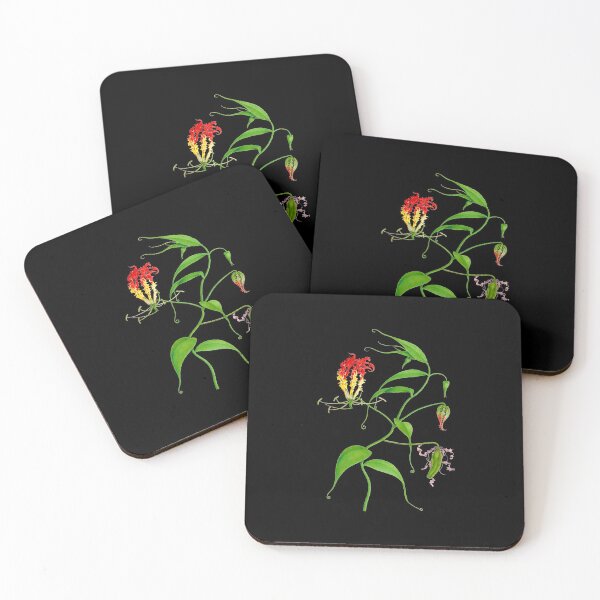 Item preview, Flame lily - Gloriosa superba - botanical illustration designed and sold by chimakingthings.