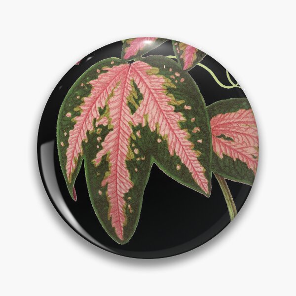Item preview, Passionflower - Passion Vine botanical illustration designed and sold by chimakingthings.