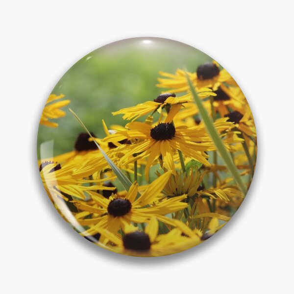Item preview, Rudbekia flowers designed and sold by GreyFeatherPhot.