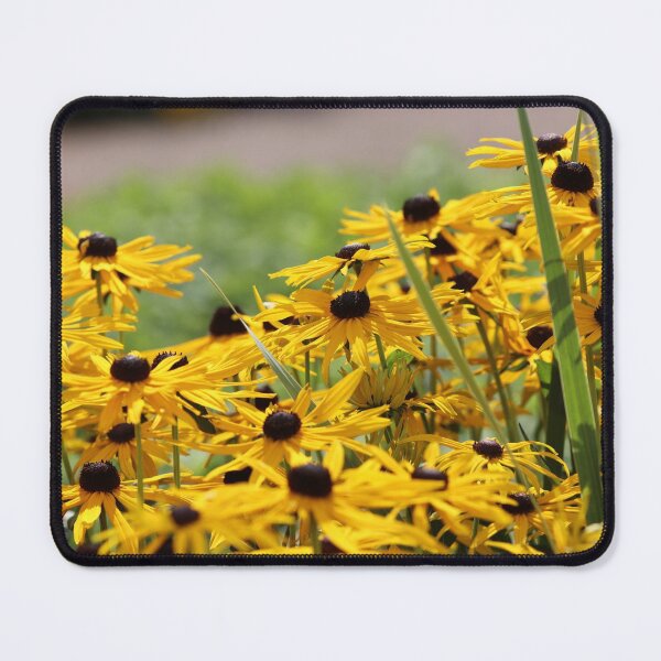 Item preview, Rudbekia flowers designed and sold by GreyFeatherPhot.