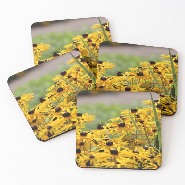 Item preview, Rudbekia flowers designed and sold by GreyFeatherPhot.