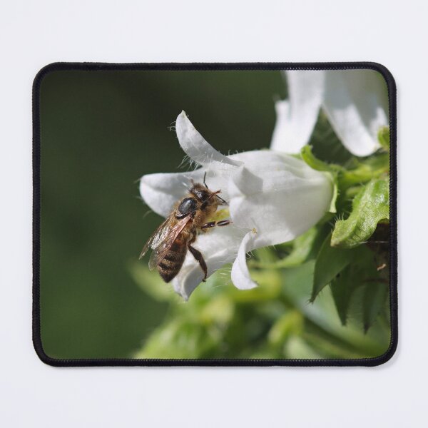 Item preview, Honeybee designed and sold by GreyFeatherPhot.