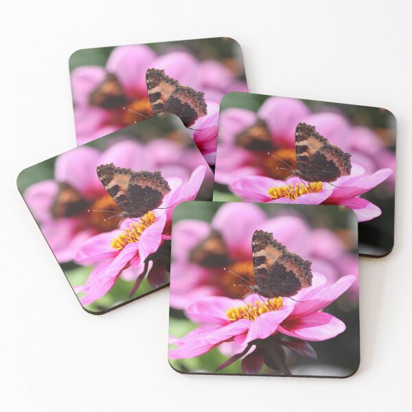 Item preview, Tortoiseshell butterflies on dahlias designed and sold by GreyFeatherPhot.