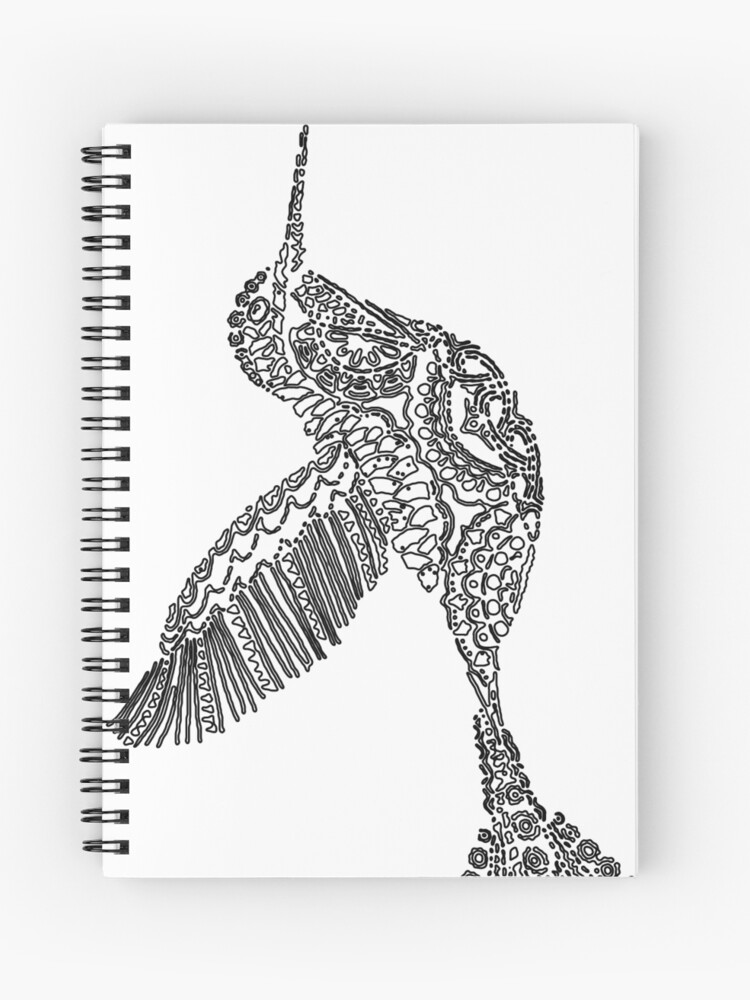Cuaderno De Espiral Colibri Blanco Y Negro De Jeffstan Redbubble