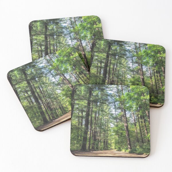 Item preview, Woljeongsa fir tree forest trail designed and sold by aaronchoi.