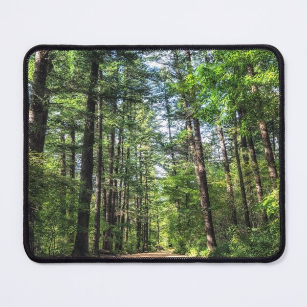 Item preview, Woljeongsa fir tree forest trail designed and sold by aaronchoi.