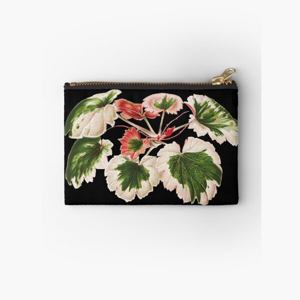 Item preview, Variegated Strawberry Begonia - Saxifraga stolonifera - botanical illustration designed and sold by chimakingthings.