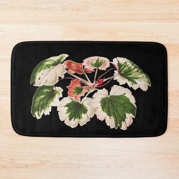 Item preview, Variegated Strawberry Begonia - Saxifraga stolonifera - botanical illustration designed and sold by chimakingthings.