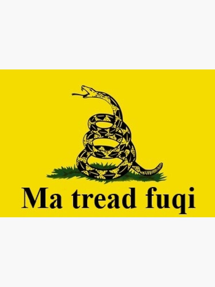 Bandiera Gadsden Non Calpestarmi 90x60cm - Poliestere, Occhielli Metallici, AZ FLAG - Foto 13