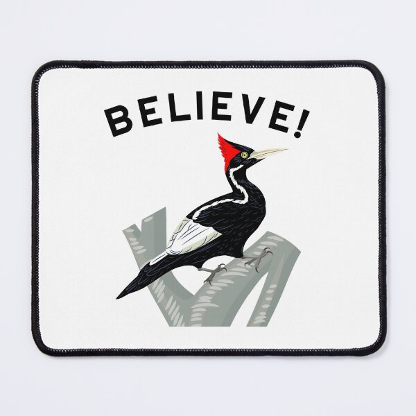 Item preview, Endangered Ivory-Billed Woodpecker  designed and sold by The Junto Shop.