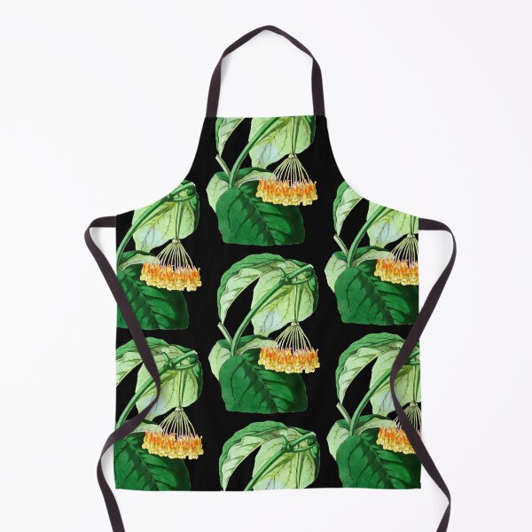 Item preview, Hoya lasiantha - botanical illustration designed and sold by chimakingthings.