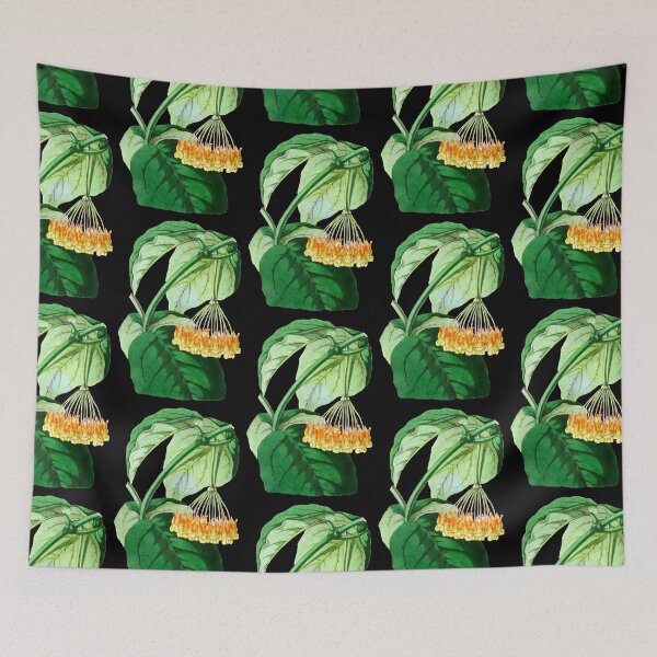 Item preview, Hoya lasiantha - botanical illustration designed and sold by chimakingthings.