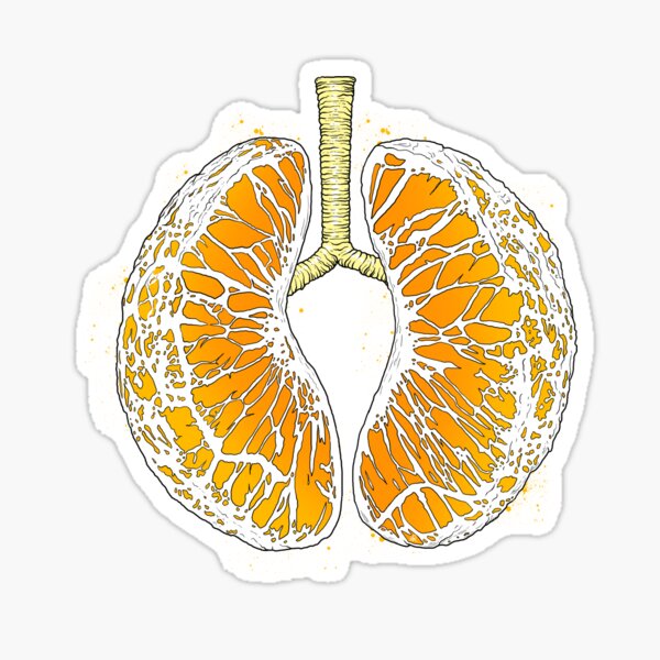 Item preview, citrus lungs designed and sold by NIKITA KORENKOV NikKor.
