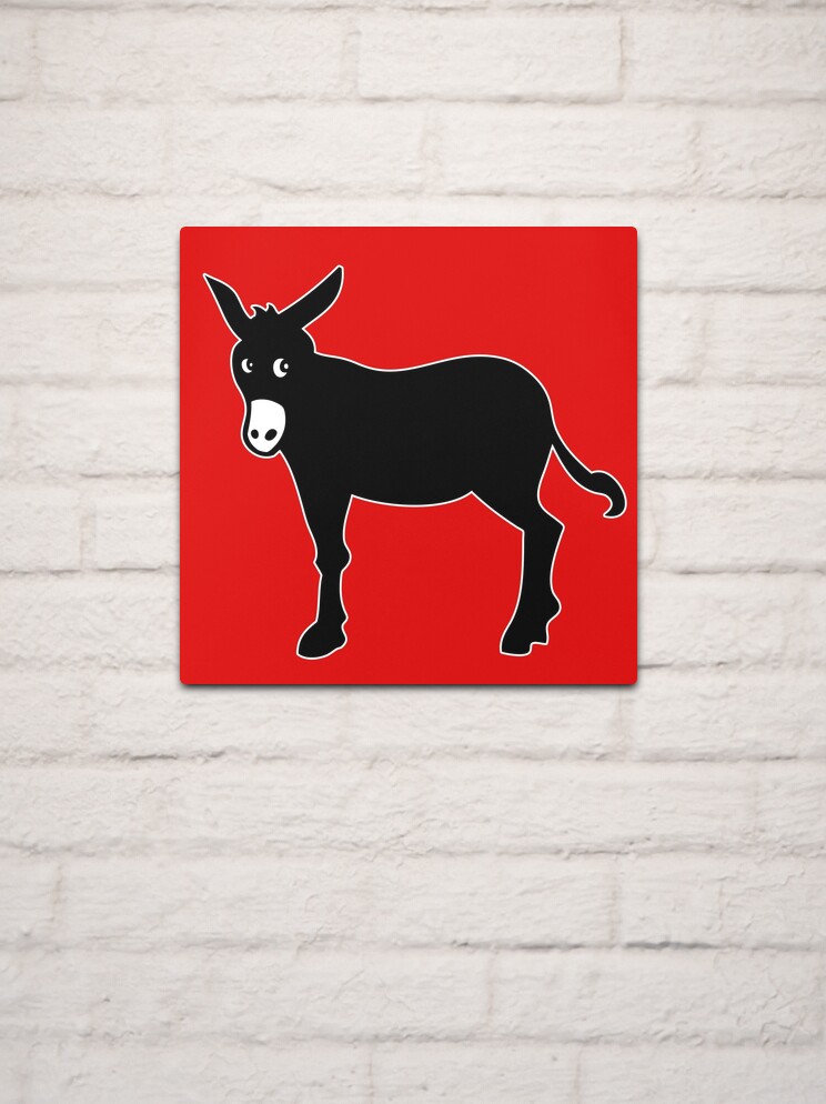 donkey donkey catalonia ruc Metal Print for by huggymauve Redbubble