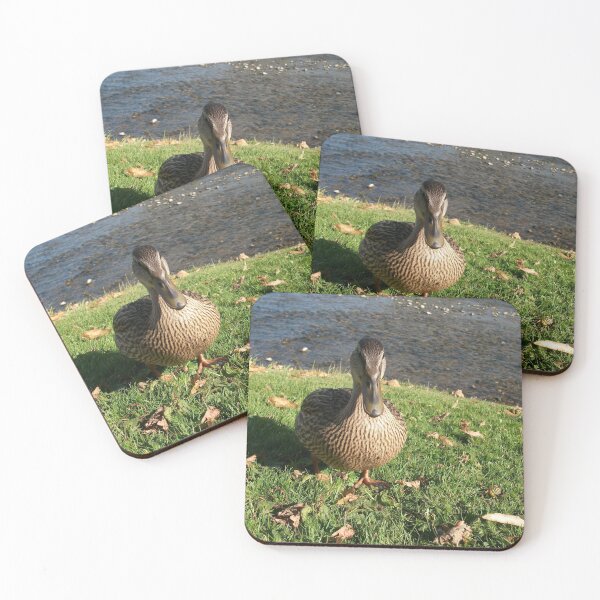 Item preview, A friendly duck at Burnsall Village North Yorkshire designed and sold by paulwatson1966.