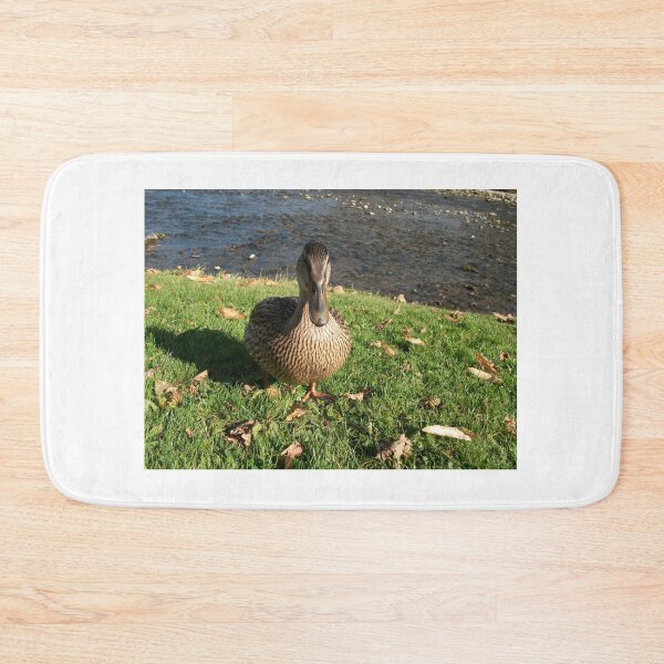 Item preview, A friendly duck at Burnsall Village North Yorkshire designed and sold by paulwatson1966.
