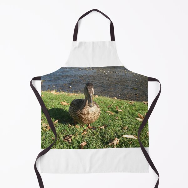 Item preview, A friendly duck at Burnsall Village North Yorkshire designed and sold by paulwatson1966.