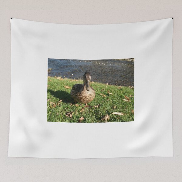 Item preview, A friendly duck at Burnsall Village North Yorkshire designed and sold by paulwatson1966.