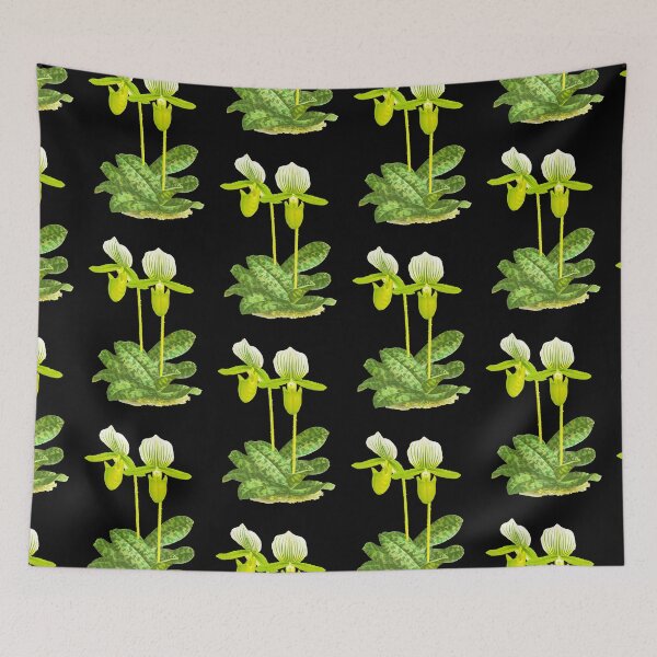 Item preview, Green Lady slipper orchid - Paphiopedilum lawrenceanum var Hyeanum - botanical illustration designed and sold by chimakingthings.