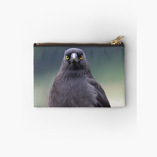 Item preview, A Pied Currawong staredown ! designed and sold by Anthony Goldman.