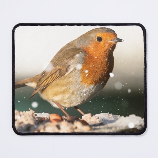 Item preview, Robin in the snow designed and sold by Mike Cave.