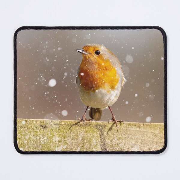 Item preview, Winter Robin designed and sold by Mike Cave.