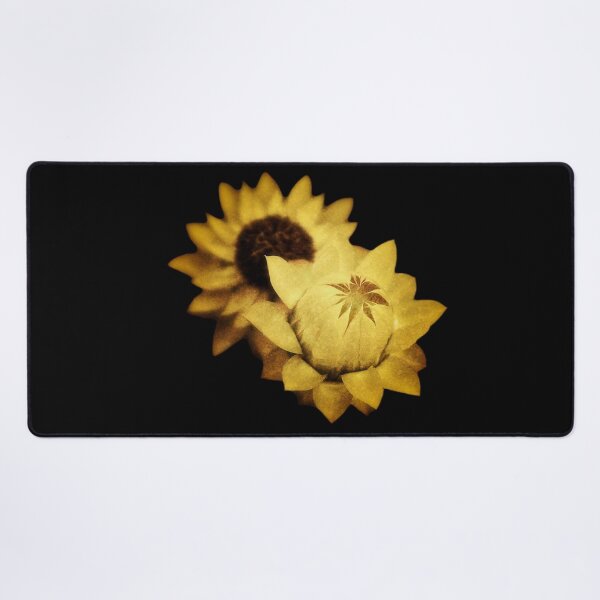 Item preview, Everlasting Paper Daisies - Black Background- Uluru - Northern Territory designed and sold by Ohlordi.