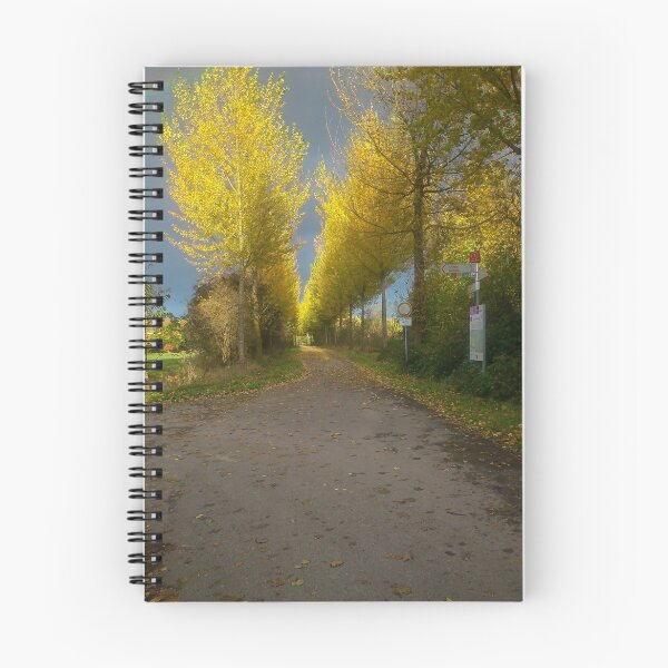 Item preview, Golden November in Lank 2 designed and sold by David A. L. Davies.