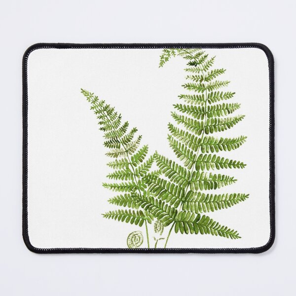 Item preview, Boston fern designed and sold by PetitMartin.