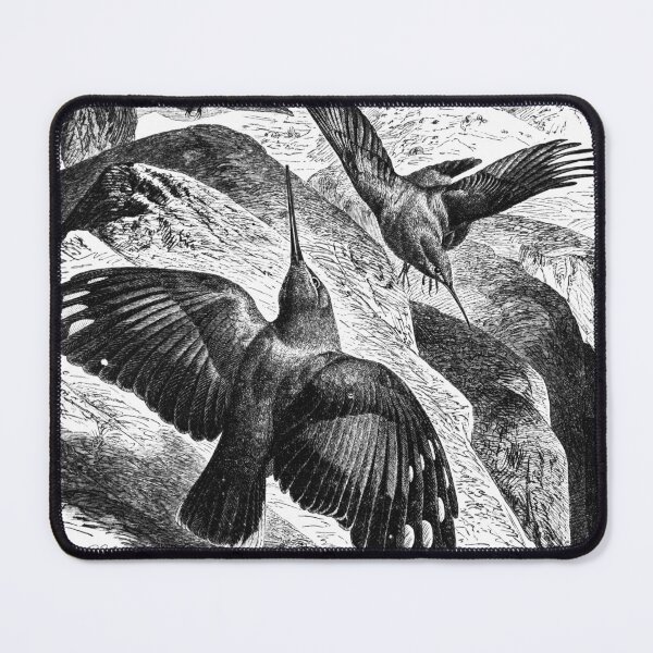 Item preview, The wallcreeper (Tichodroma muraria) designed and sold by LegendaryOddity.