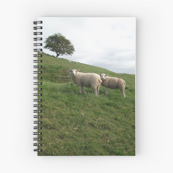 Item preview, A Pair of Sheep near Burnsall North Yorkshire designed and sold by paulwatson1966.