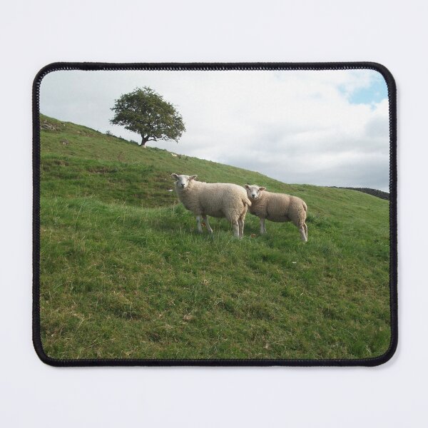 Item preview, A Pair of Sheep near Burnsall North Yorkshire designed and sold by paulwatson1966.