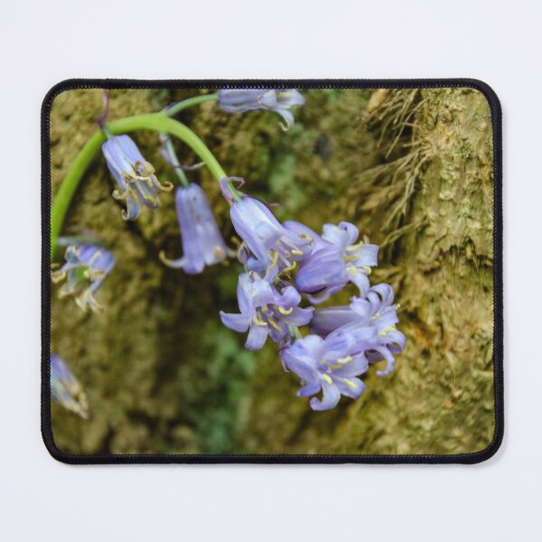 Item preview, bluebell designed and sold by Perggals© - Stacey Turner.