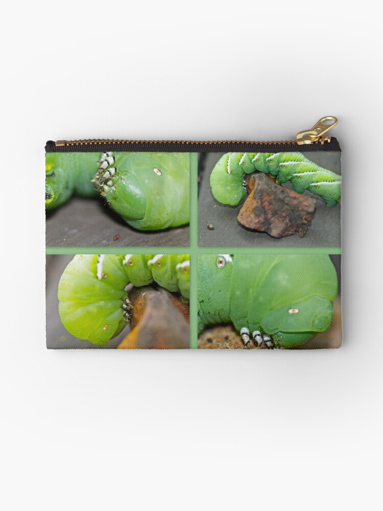 manduca pouch