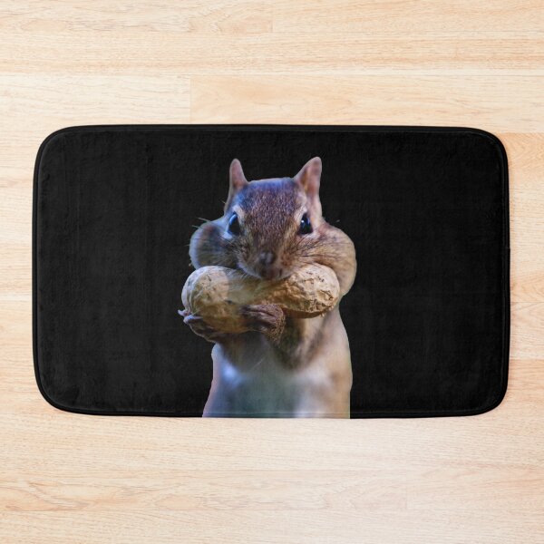 Item preview, Getting ready for winter. Chubby cheek squirrel. Funny squirrel photo. designed and sold by JellyBeenzz.