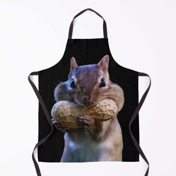 Item preview, Getting ready for winter. Chubby cheek squirrel. Funny squirrel photo. designed and sold by JellyBeenzz.