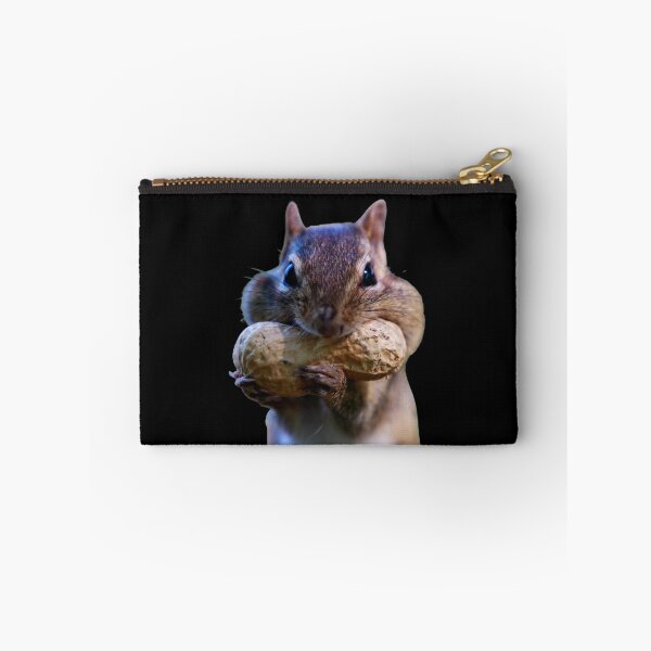 Item preview, Getting ready for winter. Chubby cheek squirrel. Funny squirrel photo. designed and sold by JellyBeenzz.