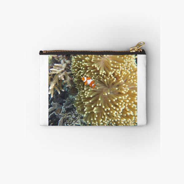Item preview, Clown anemonefish designed and sold by Bev Askew.