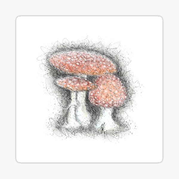 Toadstools Sticker