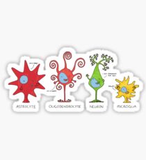 Meet your brain cells! - WIDE Sticker