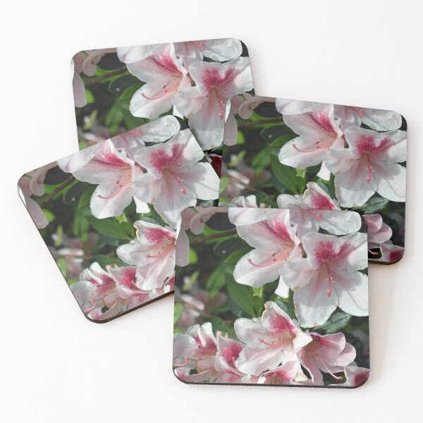 Item preview, Encore Azalea Flowers 2 designed and sold by BiscuitSnack.