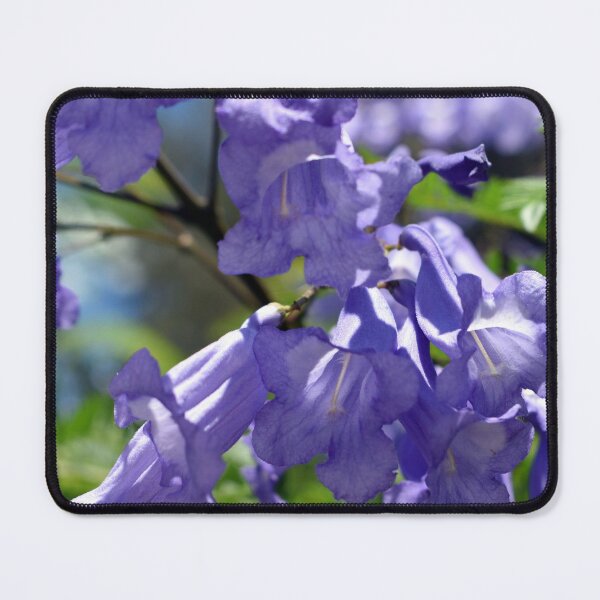 Item preview, Jacaranda Tree designed and sold by BiscuitSnack.