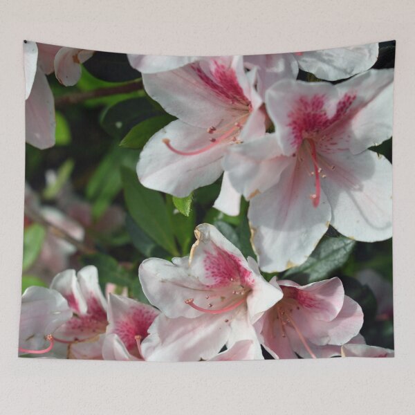 Item preview, Encore Azalea Flowers 2 designed and sold by BiscuitSnack.