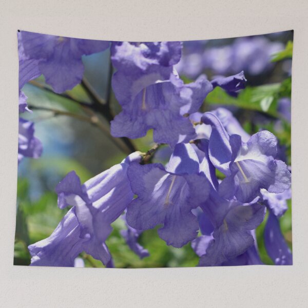 Item preview, Jacaranda Tree designed and sold by BiscuitSnack.