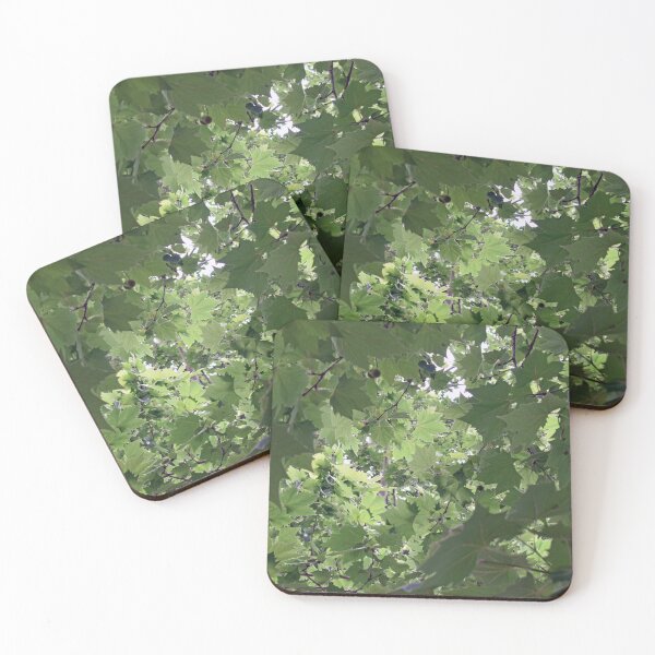 Item preview, Maple Tree Leaves designed and sold by BiscuitSnack.