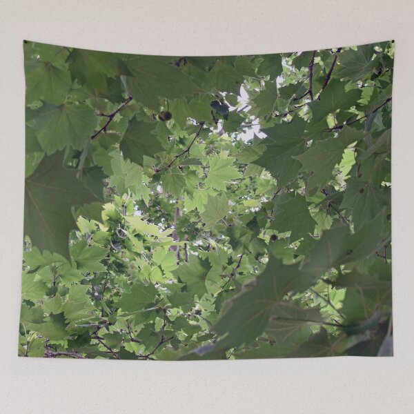 Item preview, Maple Tree Leaves designed and sold by BiscuitSnack.