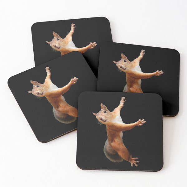 Artikelvorschau, Kletterndes Eichhörnchen. Lustiges Eichhörnchen. Foto entworfen und verkauft von JellyBeenzz.