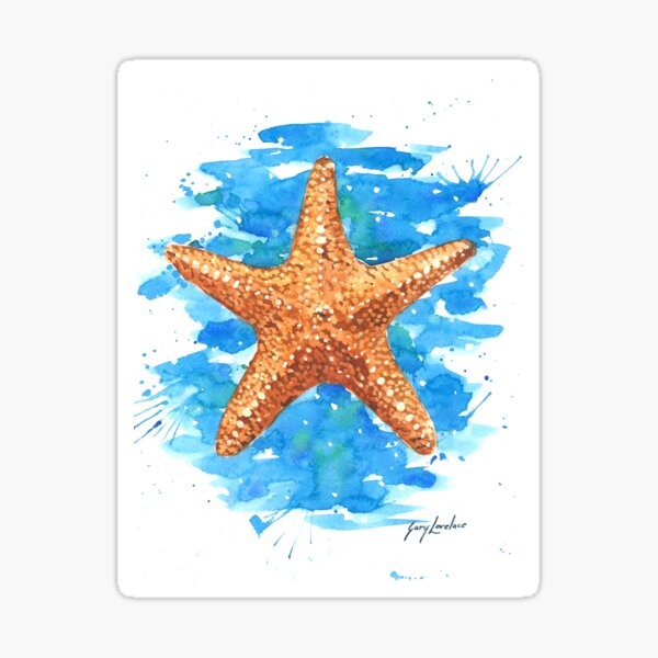 Starfish Sticker