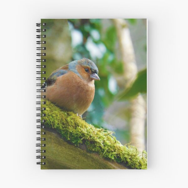 Item preview, Sitting Chaffinch designed and sold by AbnormalLoad.