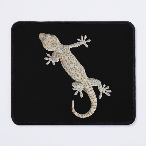 Item preview, Climbing gecko. Funny gecko. Photo, photograph designed and sold by JellyBeenzz.